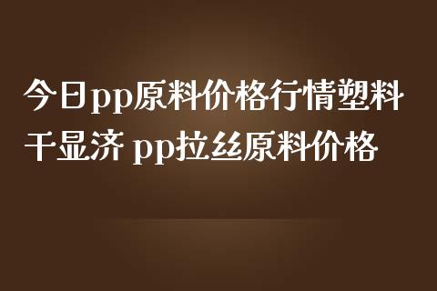 今日pp原料价格行情塑料干显济 pp拉丝原料价格