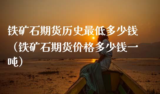 铁矿石期货历史最低多少钱（铁矿石期货价格多少钱一吨）