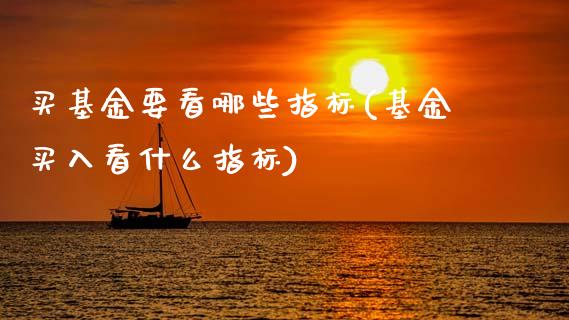 买基金要看哪些指标(基金买入看什么指标)