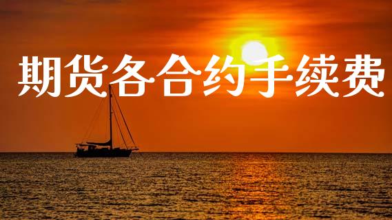 期货各合约手续费