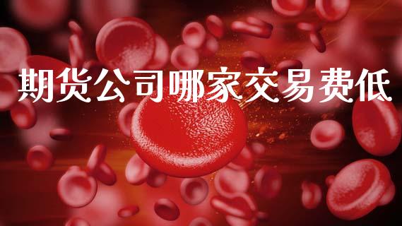 期货公司哪家交易费低