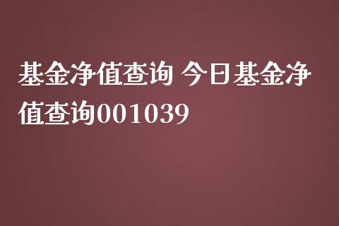 基金净值查询 今日基金净值查询001039