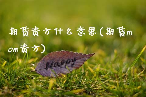 期货资方什么意思(期货mom资方)