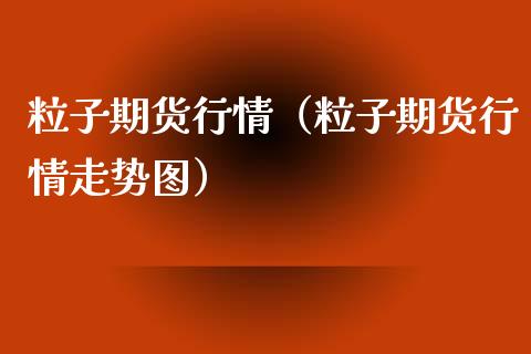 粒子期货行情（粒子期货行情走势图）