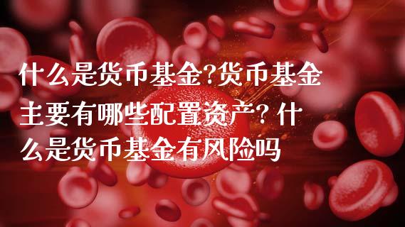什么是货币基金?货币基金主要有哪些配置资产? 什么是货币基金有风险吗_基金理财_第1张_宇龙理财网 什么是货币基金?货币基金主要有哪些配置资产? 什么是货币基金有风险吗_https://www.dglong8.com_基金理财_第1张