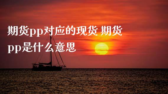 期货pp对应的现货 期货pp是什么意思