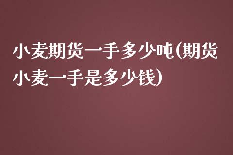 小麦期货一手多少吨(期货小麦一手是多少钱)