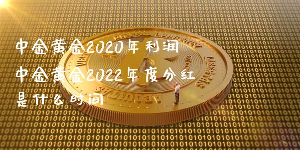 黄金2020年利润 黄金2022年度分红是什么时间