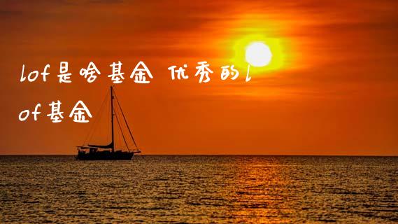 lof是啥基金 优秀的lof基金