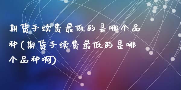 期货手续费最低的是哪个品种(期货手续费最低的是哪个品种啊)