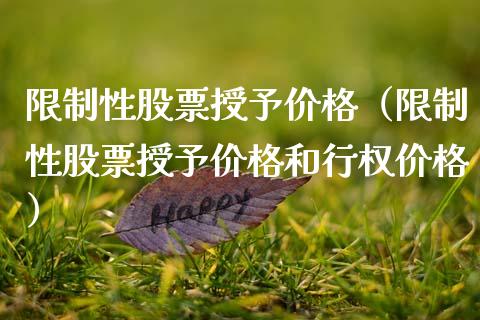 限制性股票授予价格（限制性股票授予价格和行权价格）