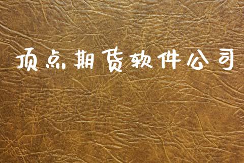 顶点期货软件公司