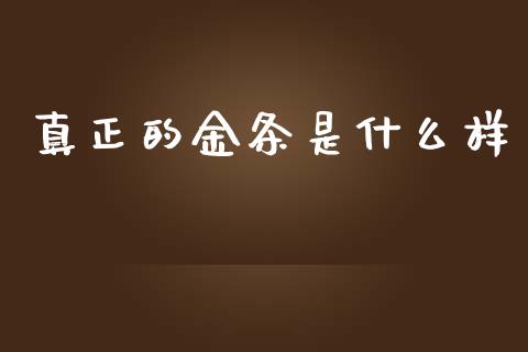 真正的金条是什么样