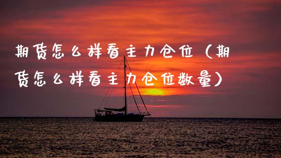 期货怎么样看主力仓位（期货怎么样看主力仓位数量）