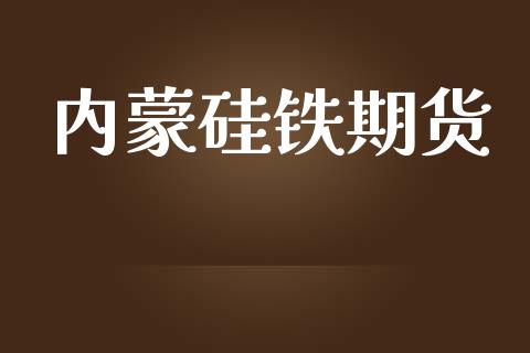 内蒙硅铁期货