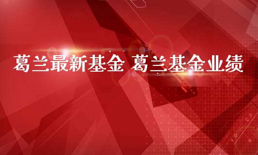葛兰最新基金 葛兰基金业绩_基金理财_第1张_宇龙理财网 葛兰最新基金 葛兰基金业绩_https://www.dglong8.com_基金理财_第1张
