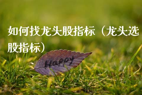 如何找龙头股指标（龙头选股指标）