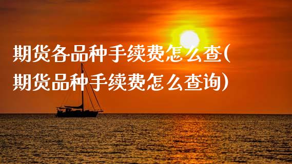 期货各品种手续费怎么查(期货品种手续费怎么查询)
