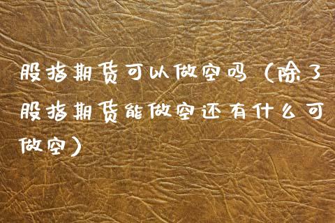 股指期货可以做空吗（除了股指期货能做空还有什么可做空）