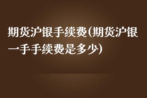 期货沪银手续费(期货沪银一手手续费是多少)
