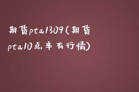 期货pta1309(期货pta10点半有行情)