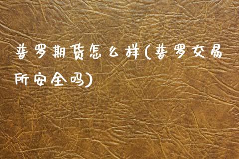 普罗期货怎么样(普罗交易所安全吗)