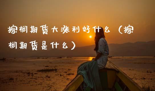 棕榈期货大涨利好什么（棕榈期货是什么）