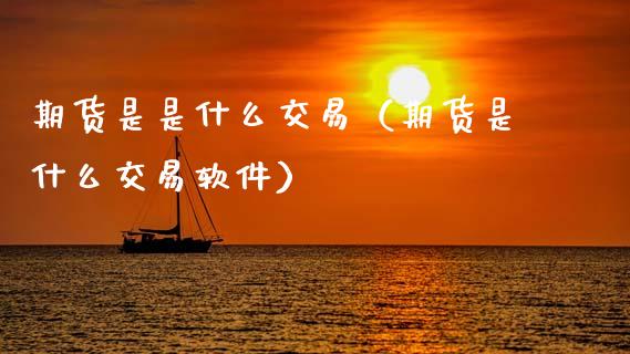 期货是是什么交易（期货是什么交易软件）