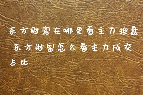 东方财富在哪里看主力控盘 东方财富怎么看主力成交占比