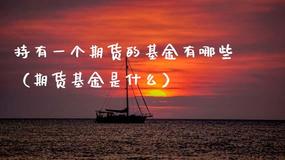 持有一个期货的基金有哪些（期货基金是什么）