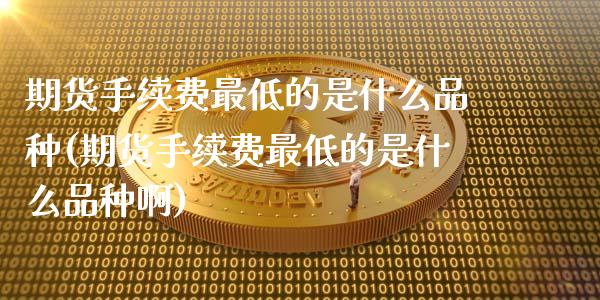 期货手续费最低的是什么品种(期货手续费最低的是什么品种啊)