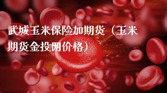 武城玉米保险加期货（玉米期货网价格）