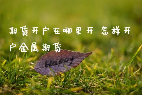 期货开户在哪里开 怎样开户金属期货