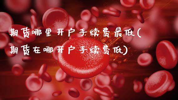 期货哪里开户手续费最低(期货在哪开户手续费低)