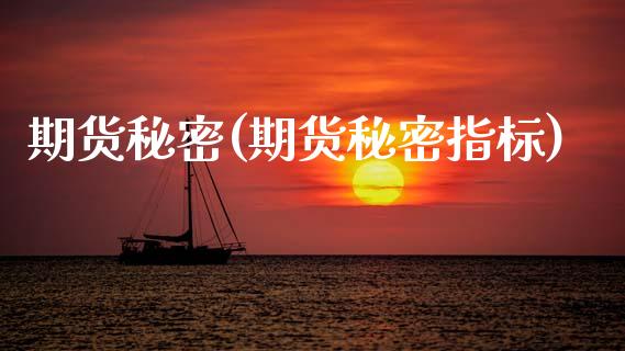 期货秘密(期货秘密指标)
