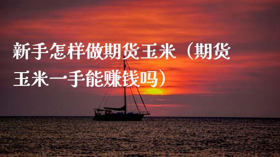 新手怎样做期货玉米（期货玉米一手能赚钱吗）