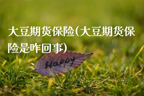 大豆期货保险(大豆期货保险是咋回事)