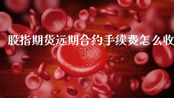 股指期货远期合约手续费怎么收