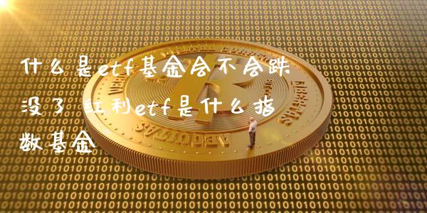 什么是etf基金会不会跌没了 红利etf是什么指数基金