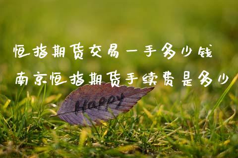 恒指期货交易一手多少钱 南京恒指期货手续费是多少