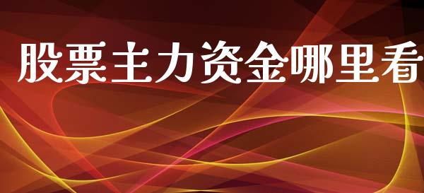 股票主力资金哪里看