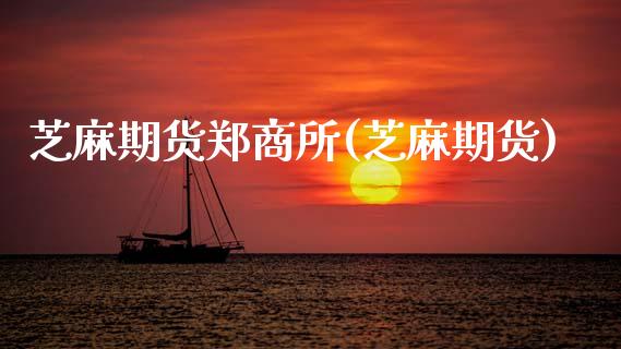 芝麻期货郑商所(芝麻期货)