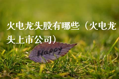 火电龙头股有哪些（火电龙头上市公司）