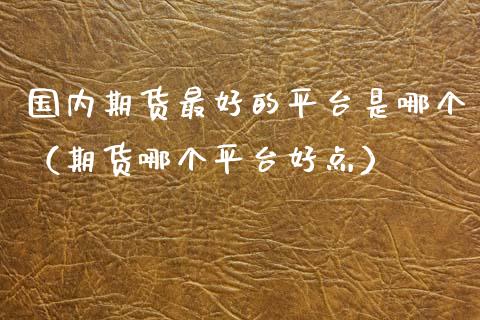 国内期货最好的平台是哪个（期货哪个平台好点）