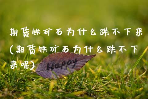 期货铁矿石为什么跌不下来(期货铁矿石为什么跌不下来呢)