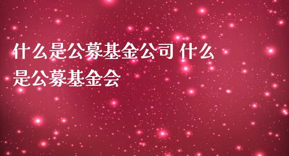 什么是公募基金公司 什么是公募基金会
