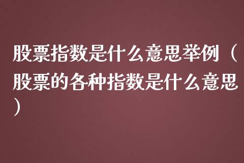 股票指数是什么意思举例（股票的各种指数是什么意思）