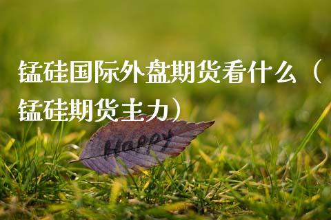 锰硅国际外盘期货看什么（锰硅期货主力）