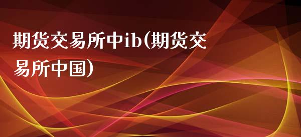 期货交易所中ib(期货交易所中国)