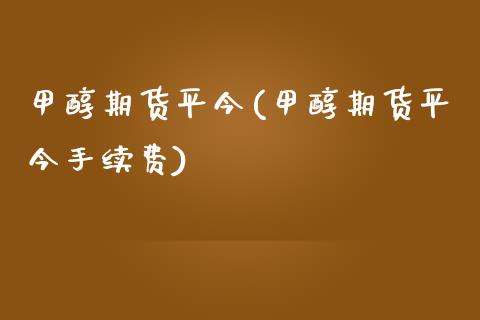 甲醇期货平今(甲醇期货平今手续费)